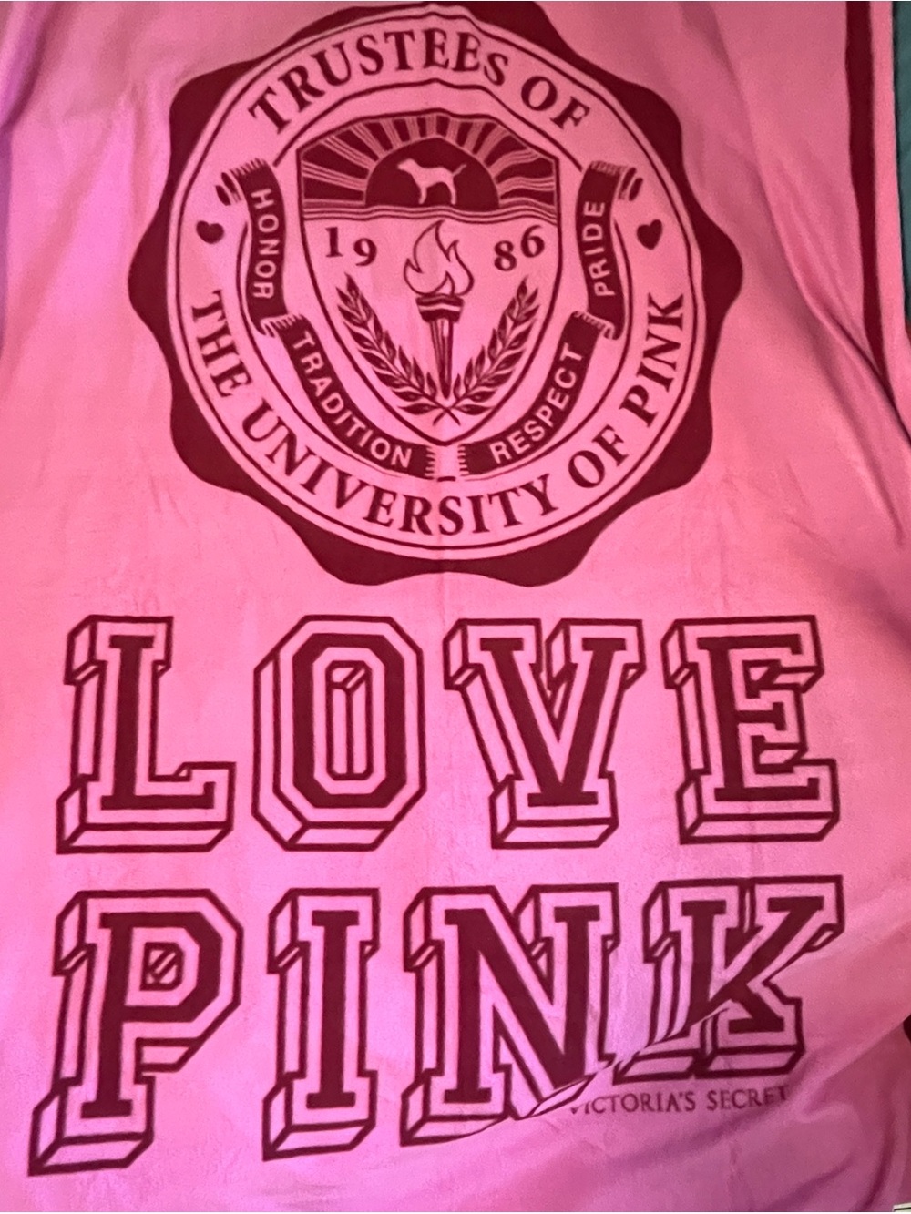 Pink Victoria’s Secret rare HTF pink stadium blanket